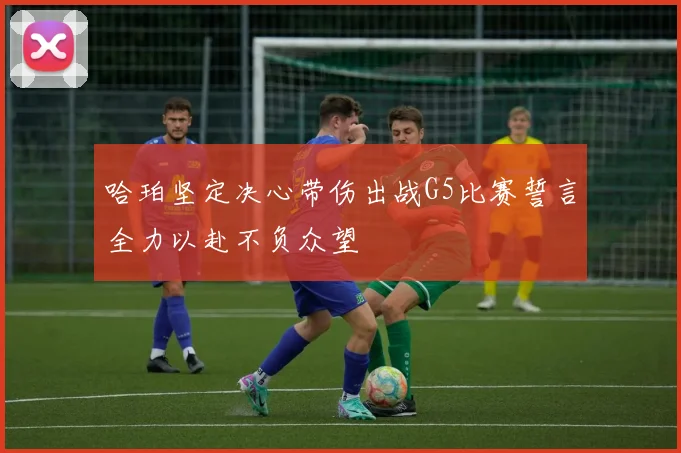 哈珀坚定决心带伤出战G5比赛誓言全力以赴不负众望